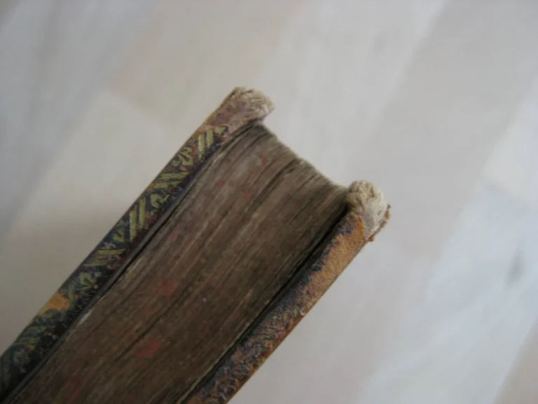 Adeisidaemon sive titus livius a vsuperstitione vindicatus Adeisidaemon sive titus livius a vsuperstitione vindicatus