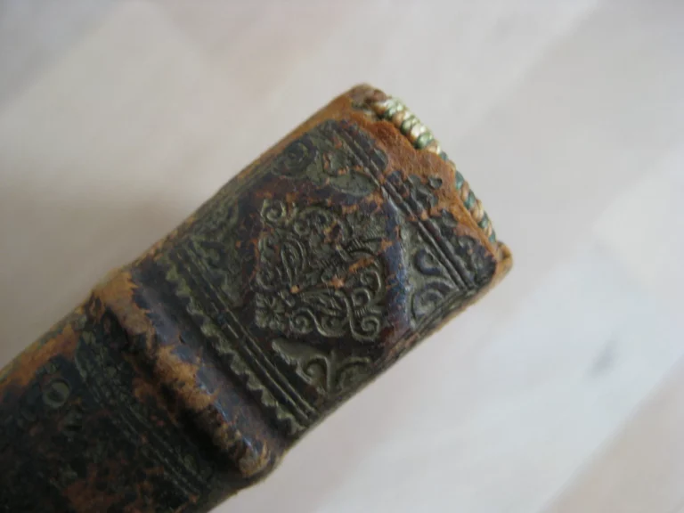 Adeisidaemon sive titus livius a vsuperstitione vindicatus Adeisidaemon sive titus livius a vsuperstitione vindicatus