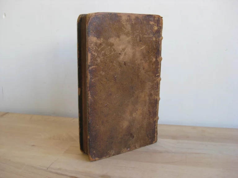 Adeisidaemon sive titus livius a vsuperstitione vindicatus Adeisidaemon sive titus livius a vsuperstitione vindicatus