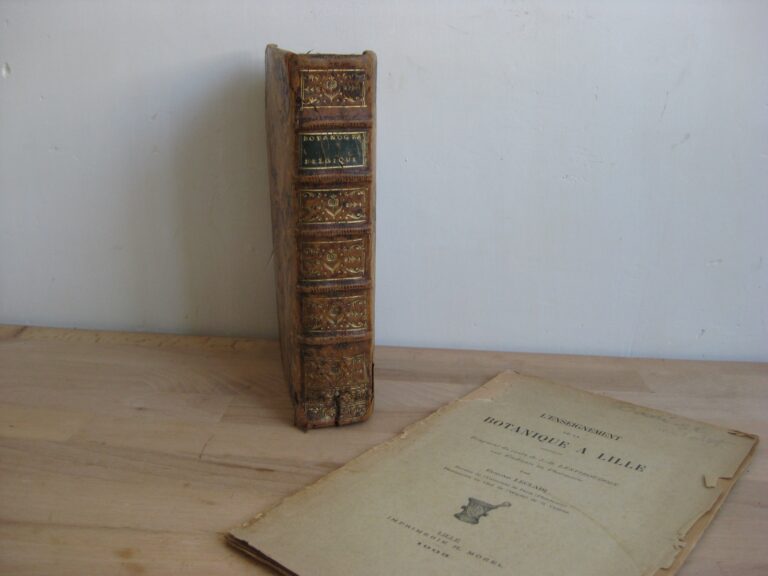 Botanographie. Belgique - Lestiboudois, E.O.