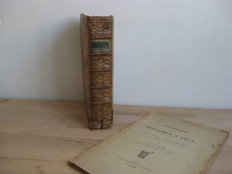 Botanographie. Belgique - Lestiboudois, E.O. Botanographie. Belgique - Lestiboudois, E.O.