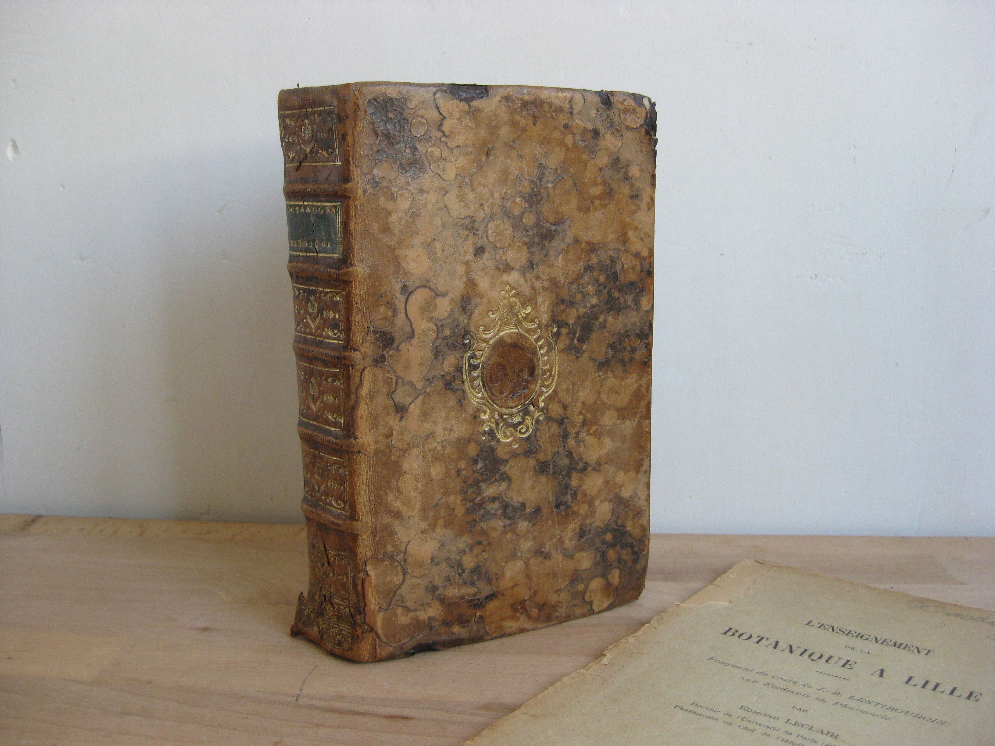Botanographie. Belgique - Lestiboudois, E.O.