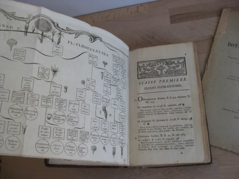 Botanographie. Belgique - Lestiboudois, E.O. Botanographie. Belgique - Lestiboudois, E.O.