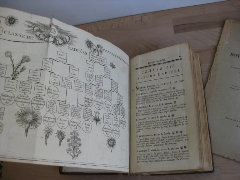 Botanographie. Belgique - Lestiboudois, E.O. Botanographie. Belgique - Lestiboudois, E.O.