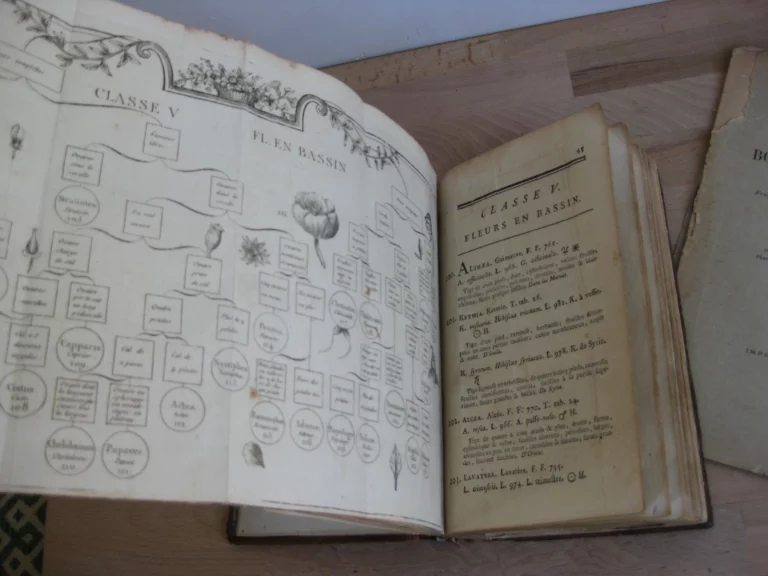 Botanographie. Belgique - Lestiboudois, E.O. Botanographie. Belgique - Lestiboudois, E.O.