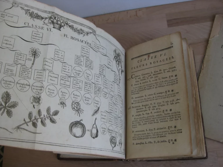 Botanographie. Belgique - Lestiboudois, E.O. Botanographie. Belgique - Lestiboudois, E.O.