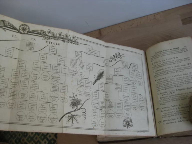 Botanographie. Belgique - Lestiboudois, E.O. Botanographie. Belgique - Lestiboudois, E.O.