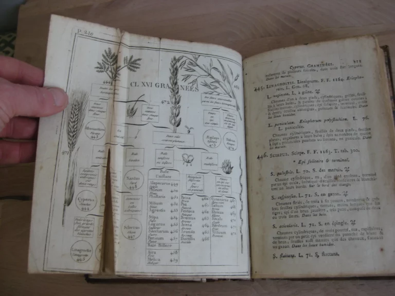 Botanographie. Belgique - Lestiboudois, E.O. Botanographie. Belgique - Lestiboudois, E.O.