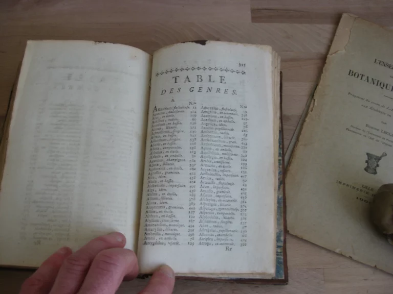 Botanographie. Belgique - Lestiboudois, E.O. Botanographie. Belgique - Lestiboudois, E.O.