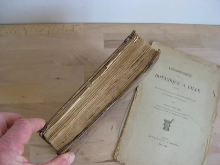 Botanographie. Belgique - Lestiboudois, E.O. Botanographie. Belgique - Lestiboudois, E.O.