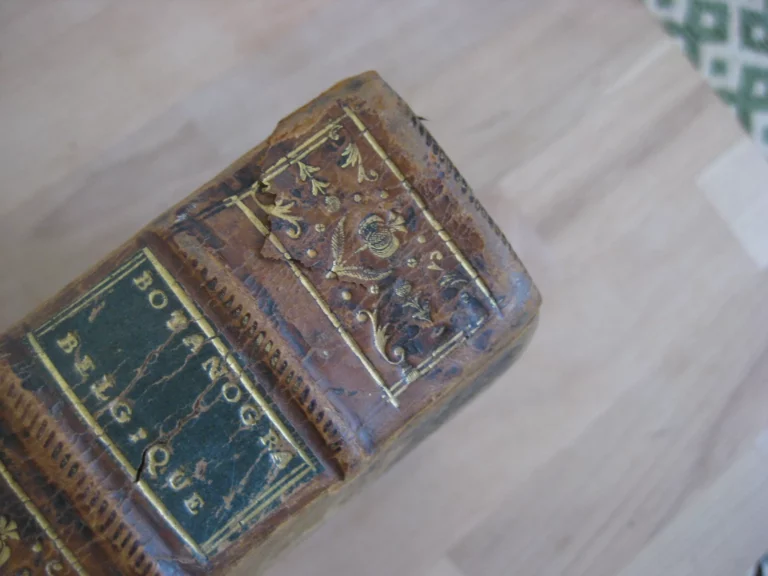 Botanographie. Belgique - Lestiboudois, E.O. Botanographie. Belgique - Lestiboudois, E.O.