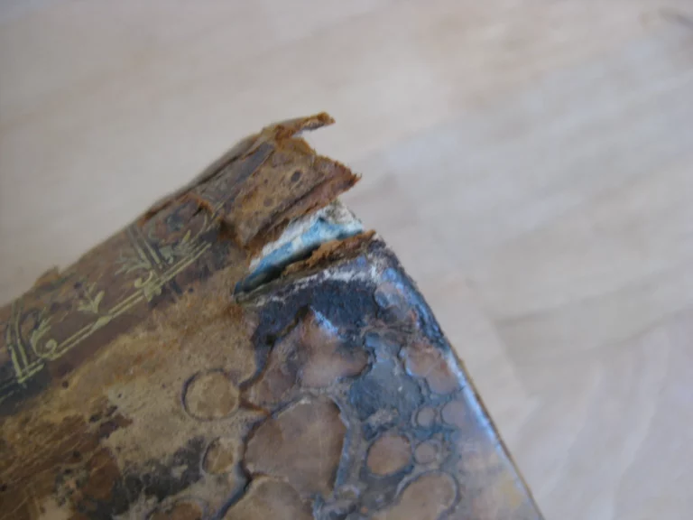 Botanographie. Belgique - Lestiboudois, E.O. Botanographie. Belgique - Lestiboudois, E.O.