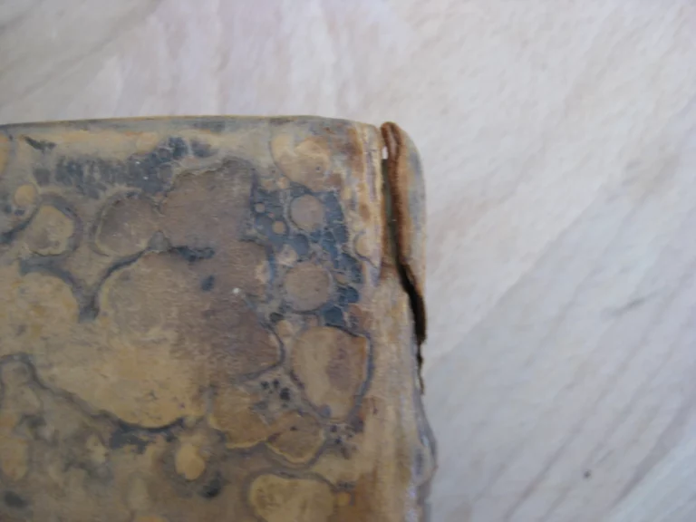 Botanographie. Belgique - Lestiboudois, E.O. Botanographie. Belgique - Lestiboudois, E.O.