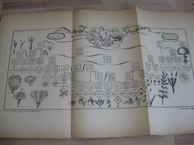 Botanographie. Belgique - Lestiboudois, E.O. Botanographie. Belgique - Lestiboudois, E.O.