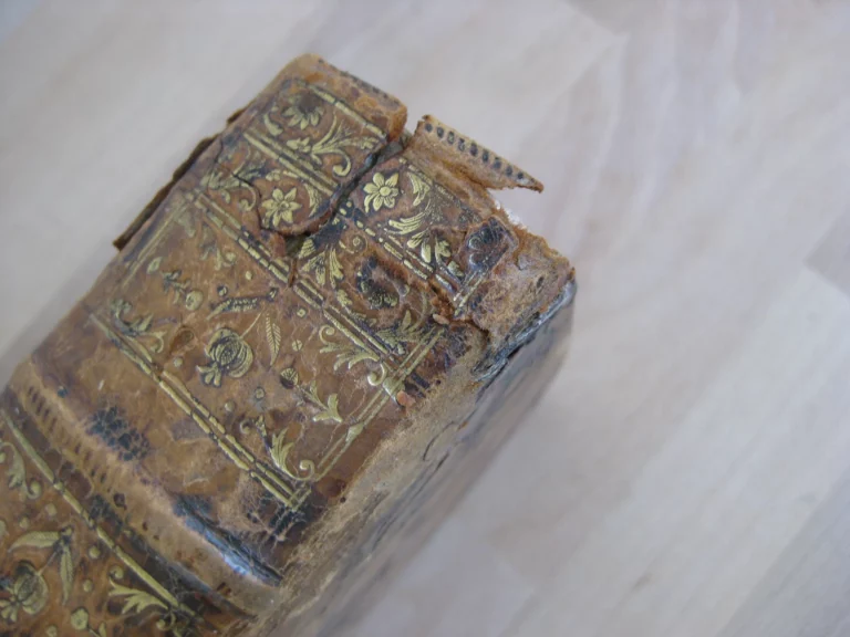 Botanographie. Belgique - Lestiboudois, E.O. Botanographie. Belgique - Lestiboudois, E.O.