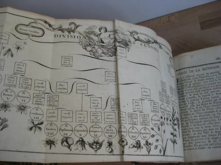 Botanographie. Belgique - Lestiboudois, E.O. Botanographie. Belgique - Lestiboudois, E.O.