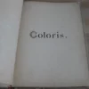 Coloris et aquarelle. Nouveaux modèles de coloris Coloris et aquarelle. Nouveaux modèles de coloris