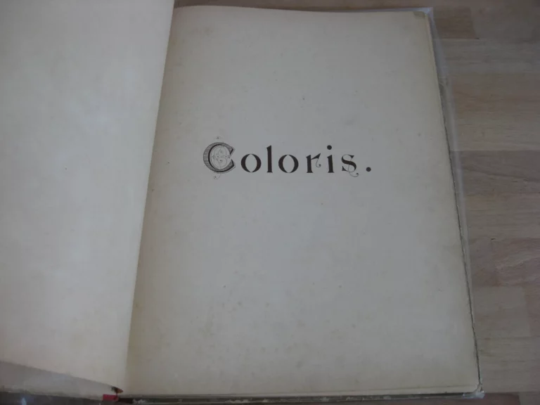 Coloris et aquarelle. Nouveaux modèles de coloris Coloris et aquarelle. Nouveaux modèles de coloris