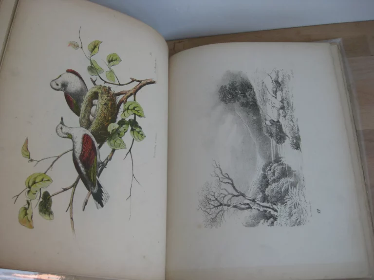 Coloris et aquarelle. Nouveaux modèles de coloris Coloris et aquarelle. Nouveaux modèles de coloris