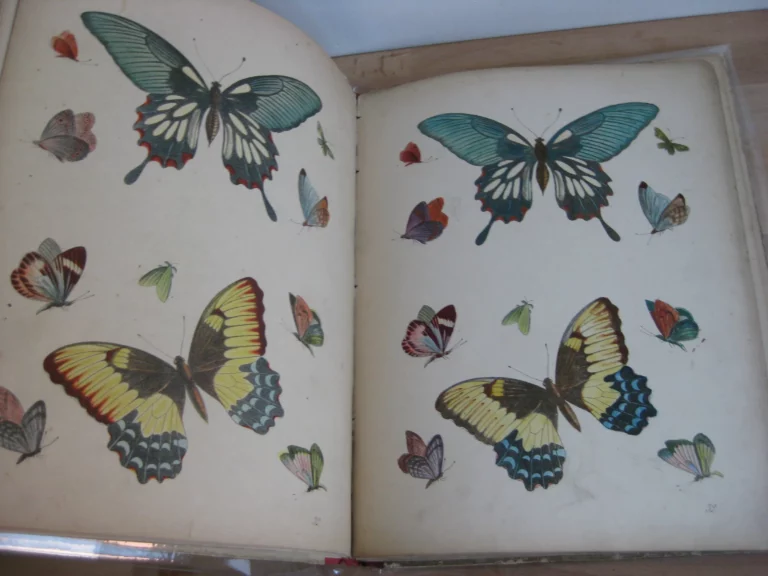 Coloris et aquarelle. Nouveaux modèles de coloris Coloris et aquarelle. Nouveaux modèles de coloris