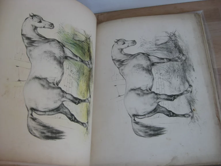 Coloris et aquarelle. Nouveaux modèles de coloris Coloris et aquarelle. Nouveaux modèles de coloris