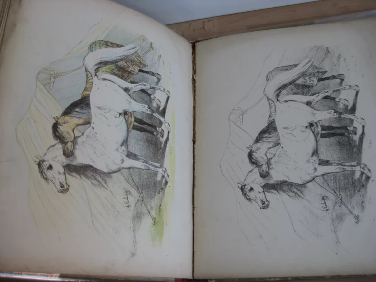 Coloris et aquarelle. Nouveaux modèles de coloris Coloris et aquarelle. Nouveaux modèles de coloris