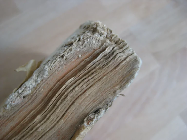 Edito di S.M. riguardante alcune dichiarazioni Sopra le Generali Costitutioni e Contenente la Tariffa degli Emolument