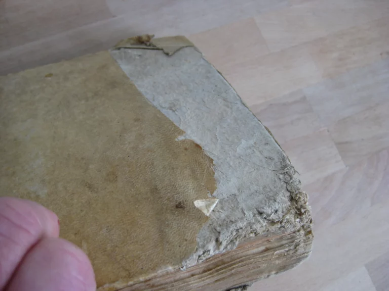 Edito di S.M. riguardante alcune dichiarazioni Sopra le Generali Costitutioni e Contenente la Tariffa degli Emolument