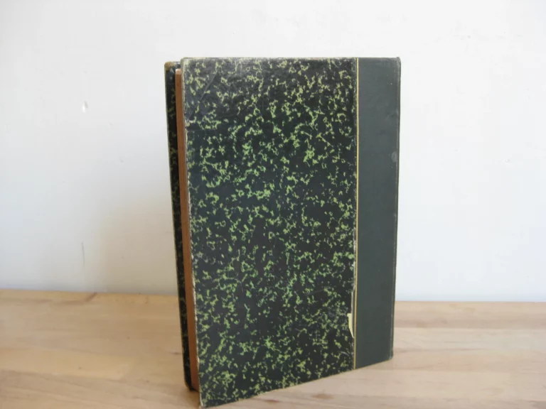 Histoire du socialisme en France. De la révolution à nos jours