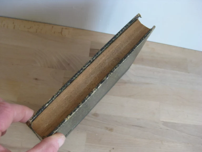 Histoire du socialisme en France. De la révolution à nos jours