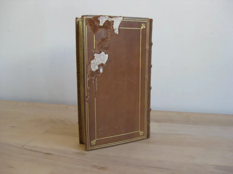 La Pharsale de Lucain - Mr. de Brebeuf La Pharsale de Lucain - Mr. de Brebeuf