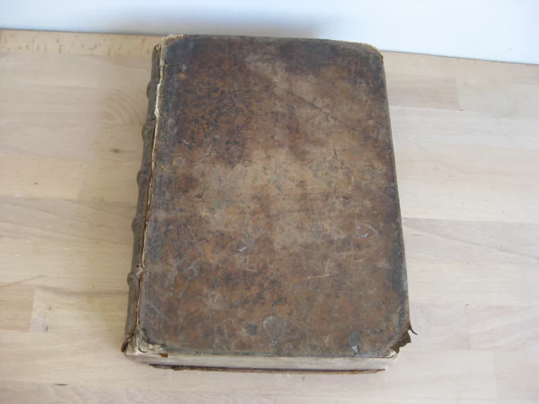 La vie de St Athanase patriarche d'Alexandrie - Godefroy HERMANT La vie de St Athanase patriarche d'Alexandrie - Godefroy HERMANT