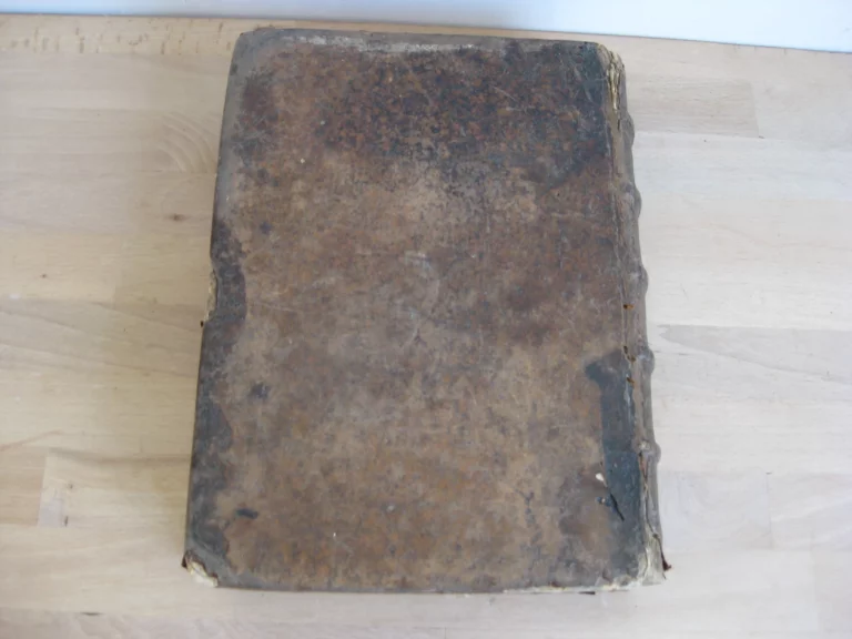 La vie de St Athanase patriarche d'Alexandrie - Godefroy HERMANT La vie de St Athanase patriarche d'Alexandrie - Godefroy HERMANT