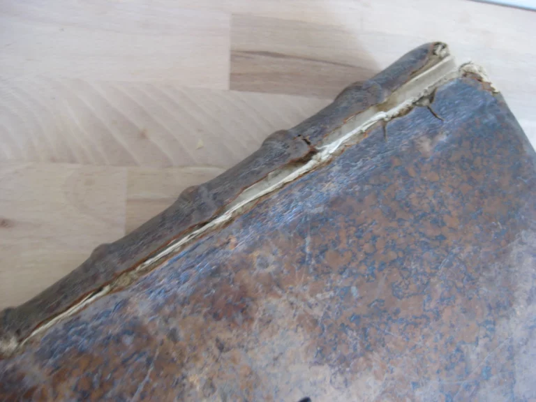 La vie de St Athanase patriarche d'Alexandrie - Godefroy HERMANT La vie de St Athanase patriarche d'Alexandrie - Godefroy HERMANT