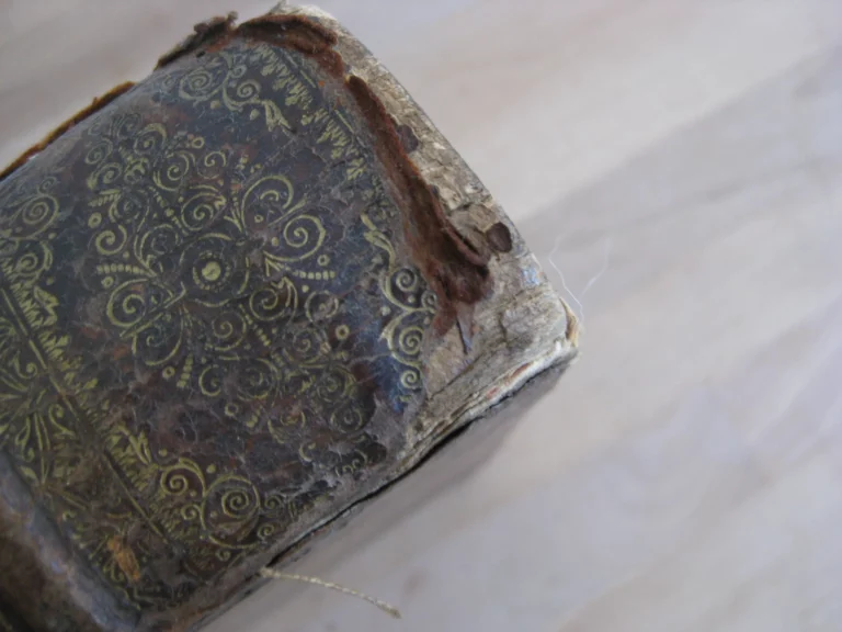 La vie de St Athanase patriarche d'Alexandrie - Godefroy HERMANT La vie de St Athanase patriarche d'Alexandrie - Godefroy HERMANT