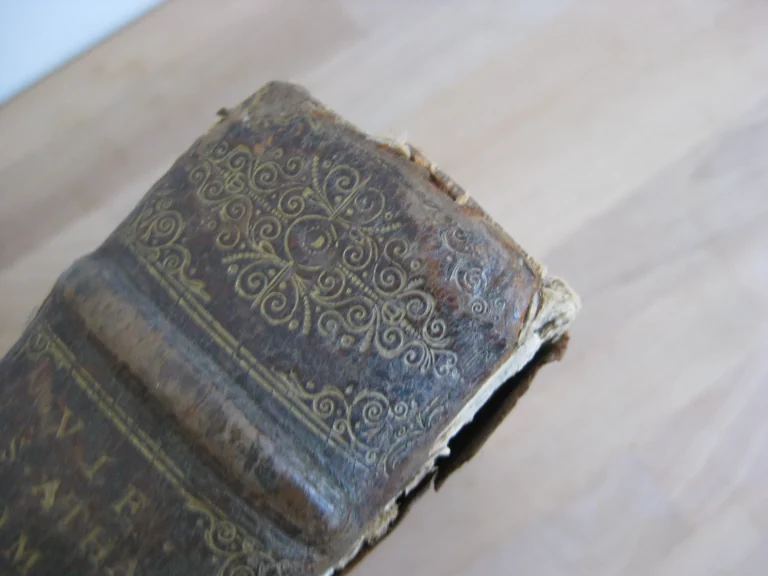 La vie de St Athanase patriarche d'Alexandrie - Godefroy HERMANT La vie de St Athanase patriarche d'Alexandrie - Godefroy HERMANT