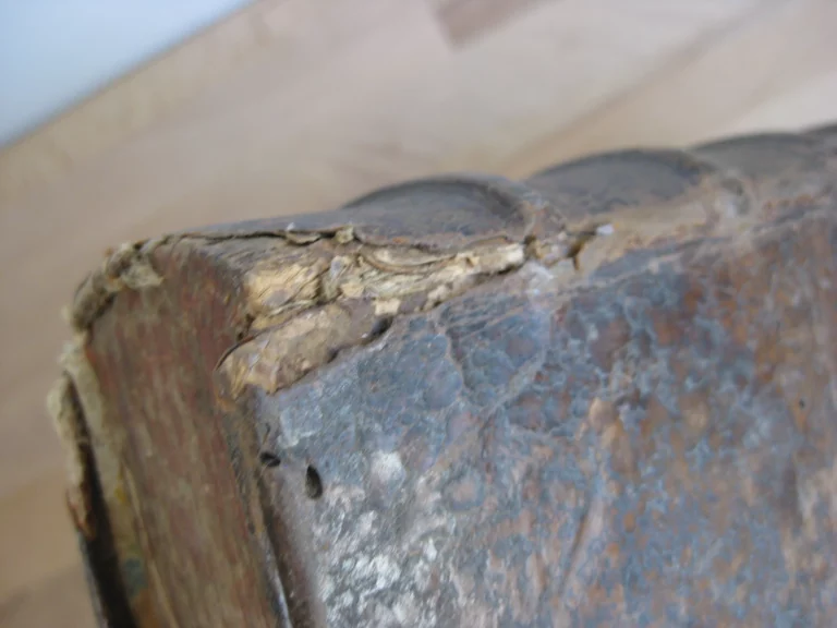 La vie de St Athanase patriarche d'Alexandrie - Godefroy HERMANT La vie de St Athanase patriarche d'Alexandrie - Godefroy HERMANT