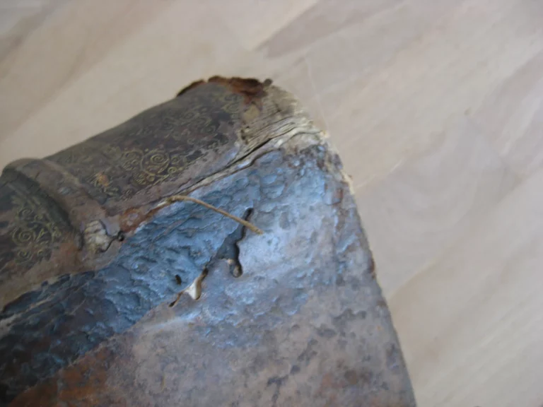 La vie de St Athanase patriarche d'Alexandrie - Godefroy HERMANT La vie de St Athanase patriarche d'Alexandrie - Godefroy HERMANT