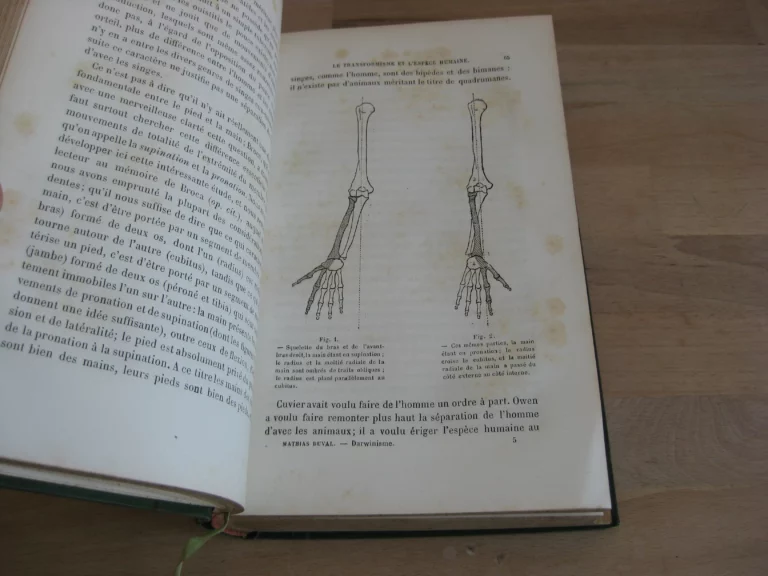Le darwinisme. Leçons professées à l’école d’anthropologie Le darwinisme. Leçons professées à l’école d’anthropologie