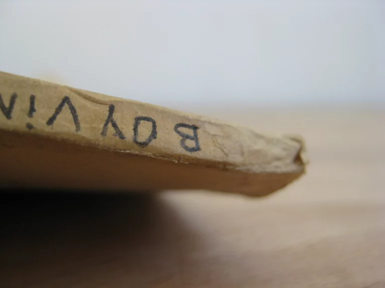 Le livre de bijouterie de René Boyvin, d’Angers Le livre de bijouterie de René Boyvin, d’Angers