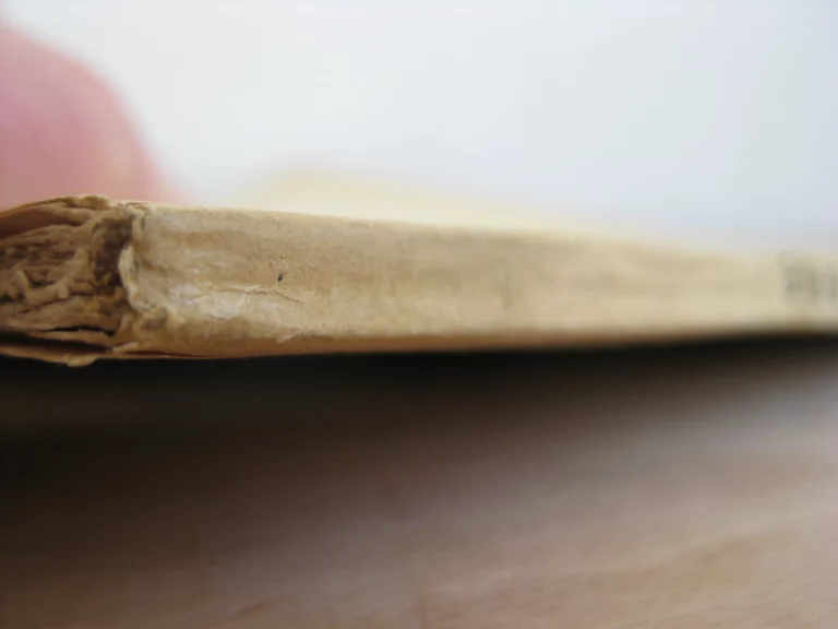 Le livre de bijouterie de René Boyvin, d’Angers Le livre de bijouterie de René Boyvin, d’Angers