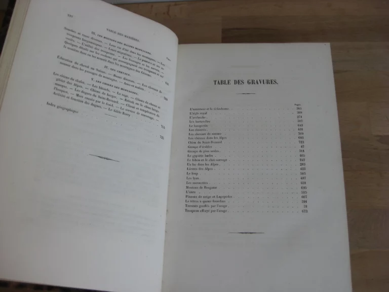 Les Alpes. Frédéric de Tschudi Les Alpes. Frédéric de Tschudi