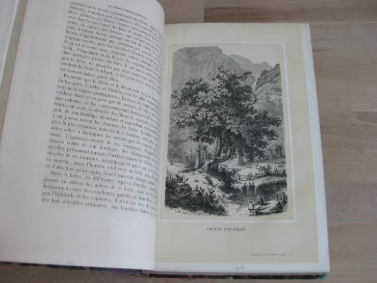 Les Alpes. Frédéric de Tschudi Les Alpes. Frédéric de Tschudi