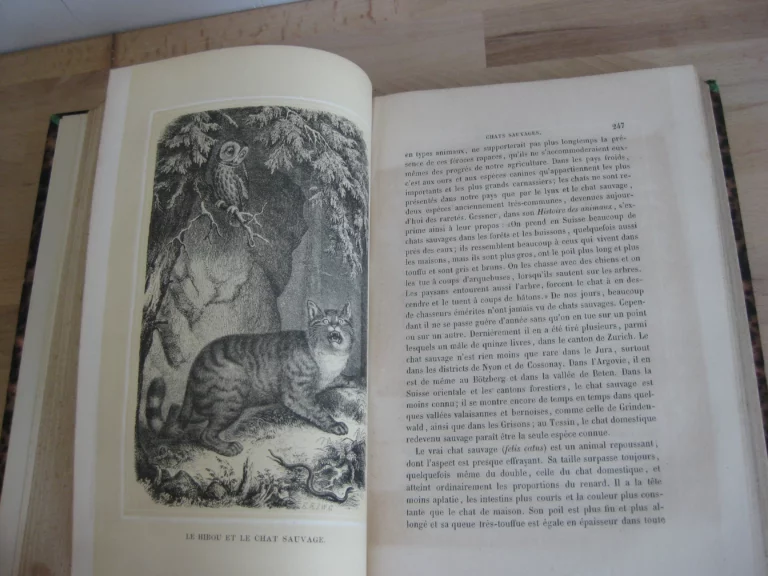 Les Alpes. Frédéric de Tschudi Les Alpes. Frédéric de Tschudi