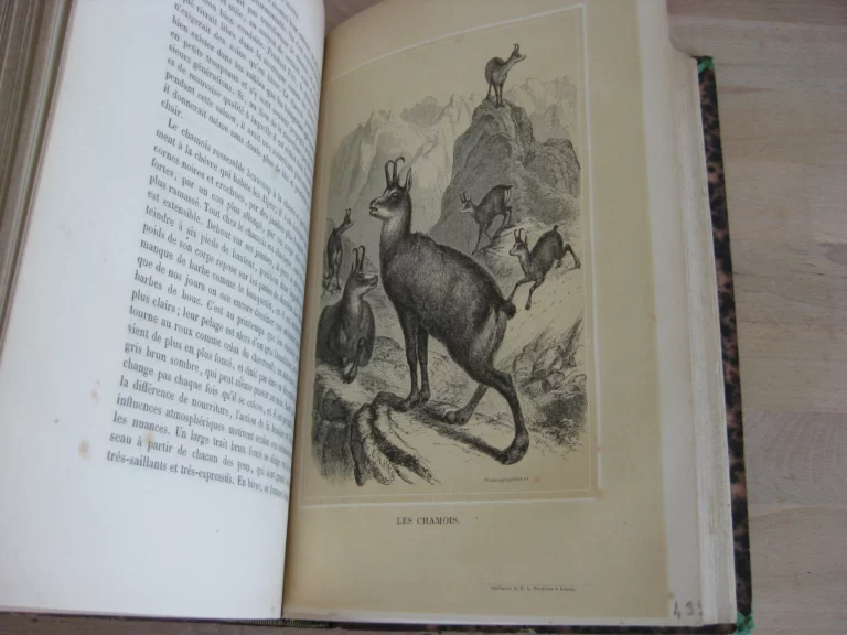 Les Alpes. Frédéric de Tschudi Les Alpes. Frédéric de Tschudi