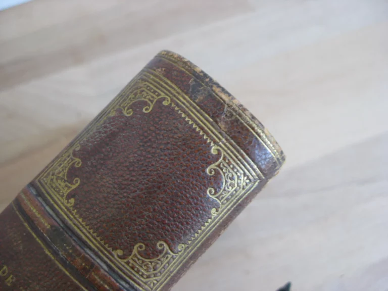 Les Alpes. Frédéric de Tschudi Les Alpes. Frédéric de Tschudi