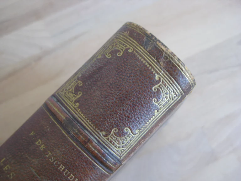 Les Alpes. Frédéric de Tschudi Les Alpes. Frédéric de Tschudi