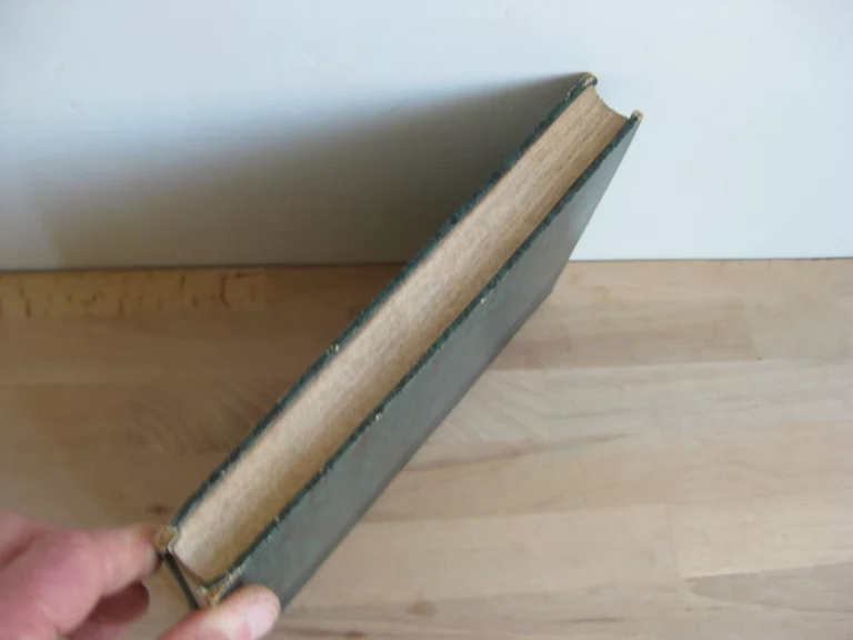 Les miettes d’Ésope. Fables.