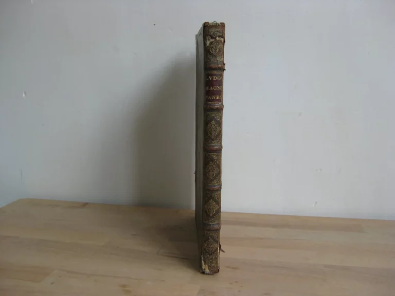 Ludovico Magno panegyricus - Joh. Antonio Mediobarbo Ludovico Magno panegyricus - Joh. Antonio Mediobarbo