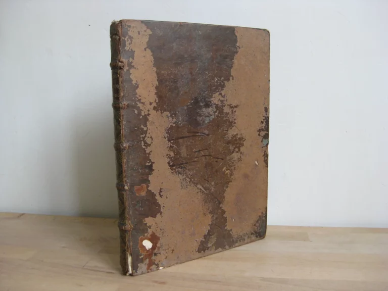 Ludovico Magno panegyricus - Joh. Antonio Mediobarbo Ludovico Magno panegyricus - Joh. Antonio Mediobarbo